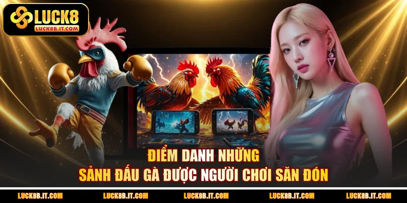 Điểm danh những sảnh đấu gà được người chơi săn đón